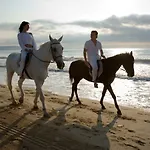 Oasis 2* Albena