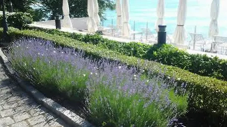 Хотел оазис